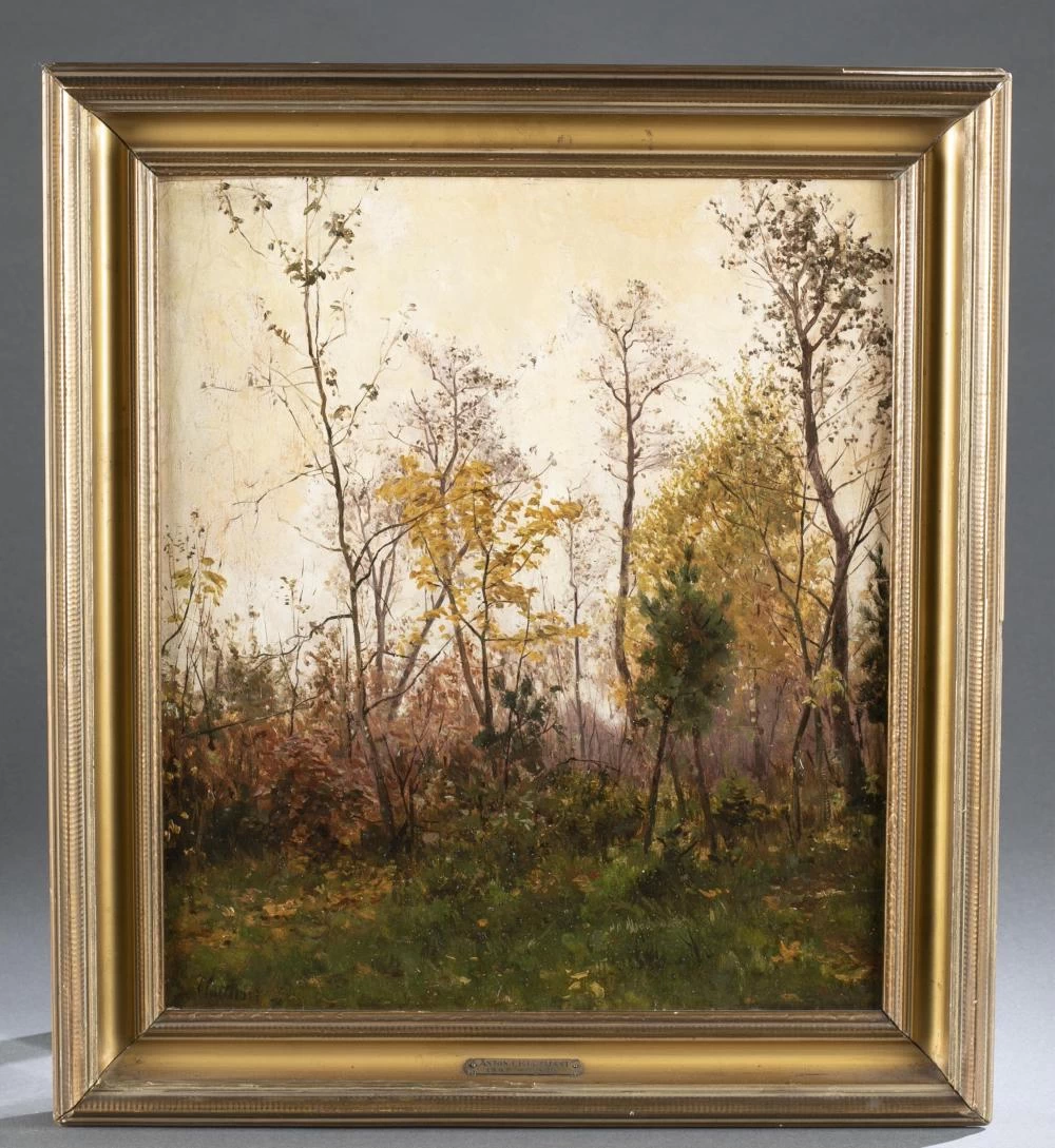 Paesaggio boschivo